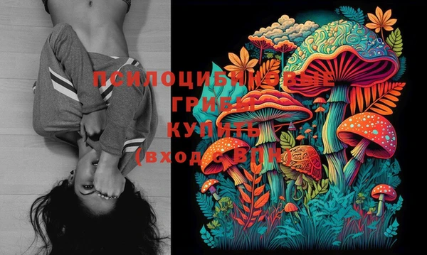 амфетамин Гусиноозёрск